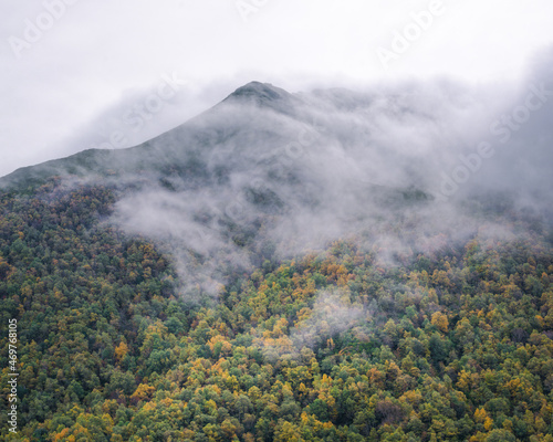 Mist hides a mountain covered with a birch and oak forest