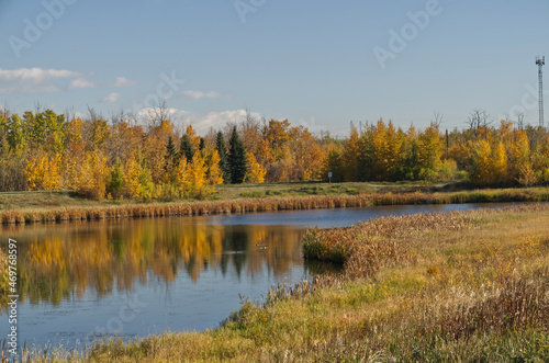 Pylypow Wetlands on a Clear Autumn Day