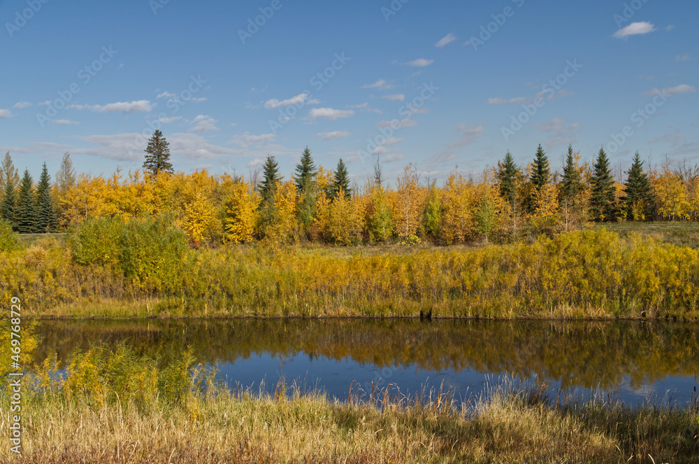 An Autumn Forest near a Calm Pond