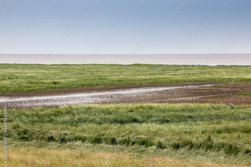 Flat salt marshes and the North Sea of North Germany