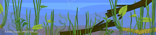 Underwater pond panoramic landscape with driftwood and aquatic plants