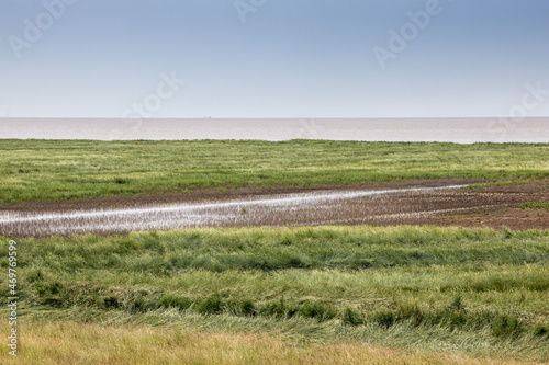 Flat salt marshes and the North Sea of North Germany