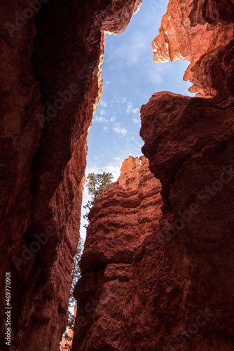 Iconic Wall Street gorge in the Bryce Canyon valley in Utah