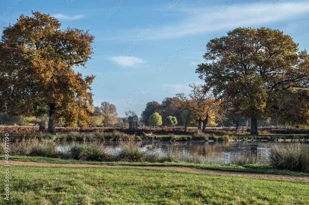 November colour Bushy Park November colour Bushy Park