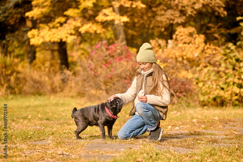 A girl in warm clothes playing with a dog in the park A girl in warm clothes playing with a dog in the park