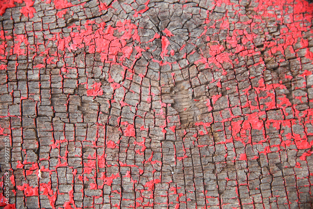 Obraz premium Red peeling paint texture on an old wooden board