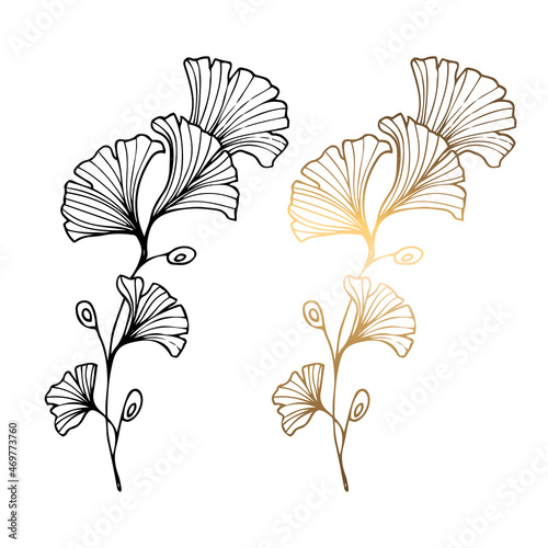 Monochrome and golden ginkgo leaves on a white background. Hand-drawn black and white vector illustration of large leaves. For print and web pages