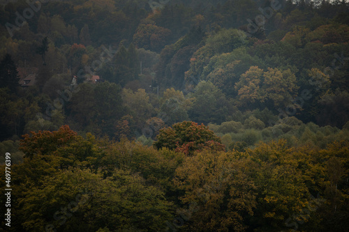 view from the mountain