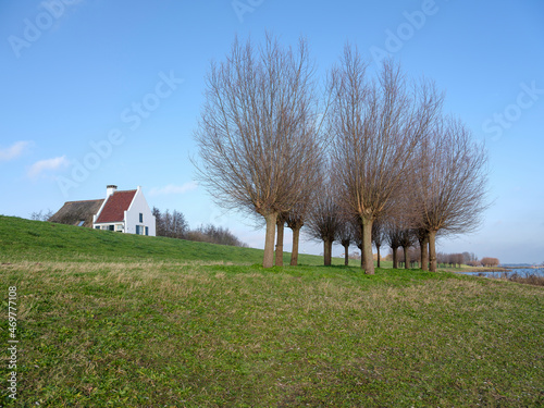 Dike along the  IJssel river, Welsum, Overijssel province, The Netherlands photo