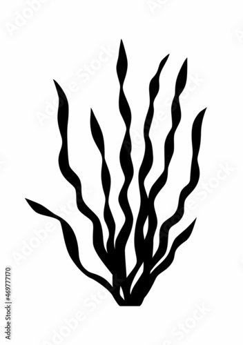 Seaweed silhouette. Alga template. Vector illustration.