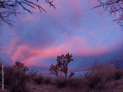 colorful sunrise in the Mojave desert