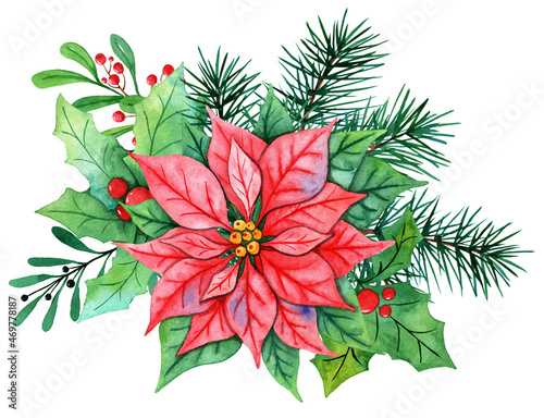 Watercolor Christmas bouquet with poinsettia holly branches, leaves, berries, pine, spruce, green holly branches on a white background. Christmas flower arrangement for greeting card, design, social