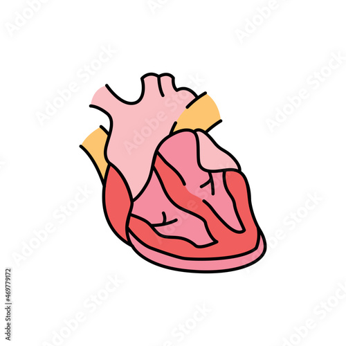 Myocarditis color line icon. Human diseases.