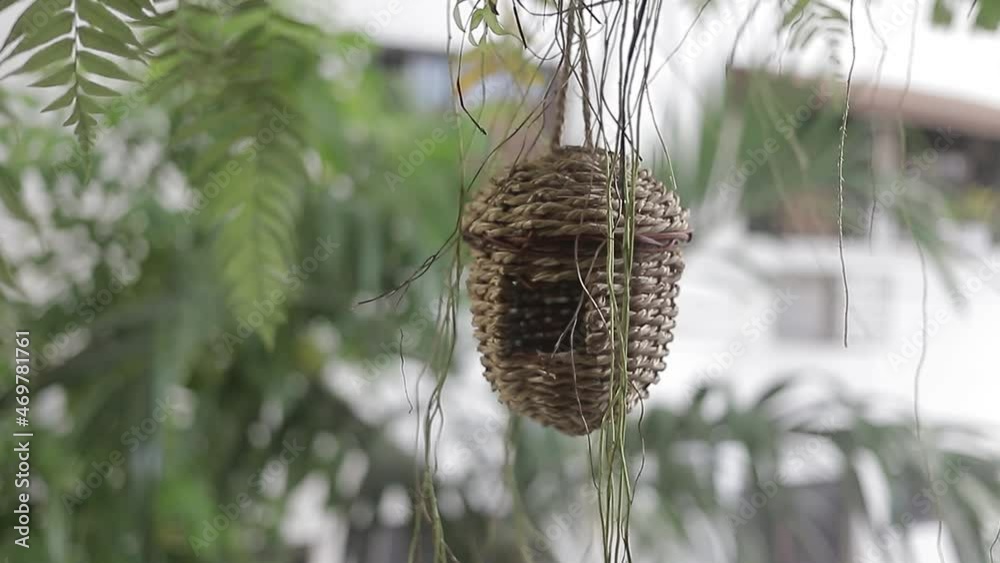 toma panoramica de nido para aves creada a manos.