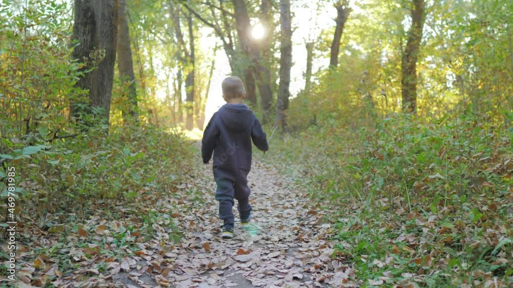 Child running in the yellow leaves. Little boy run in autumn park, little child playing with old dry trees foliage, enjoying walk, beauty autumn season. Happy childhood concept. Child running in the yellow leaves. Little boy run in autumn park, little child playing with old dry trees foliage, enjoying walk, beauty autumn season. Happy childhood concept.