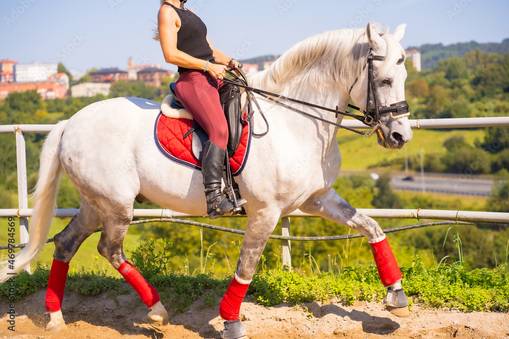 Unrecognizable blonde girl riding on a white horse, dressed black rider with safety hat Unrecognizable blonde girl riding on a white horse, dressed black rider with safety hat