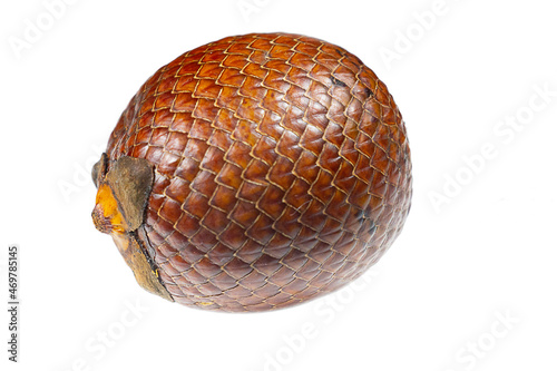 Isolated buriti fruit ( Mauritia flexuosa ) in macro and fine botanical and morphological details of the skin texture and shape of the fruit photo