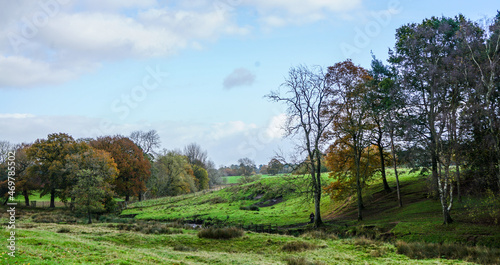 Autumn walk in Tatton Park