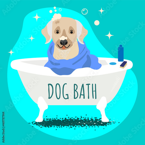 Dog in a bubble bath. Dog with a blue and blue towel. Dog on a blue background. Cute dog with foam on its face..A dog with foam or bubbles.