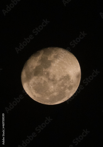 Luna Roja