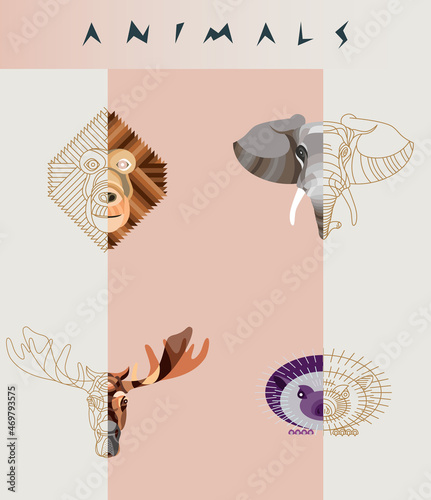 Abstract animal illustration photo