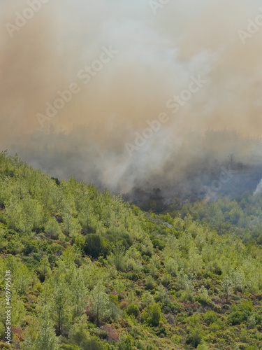 forest fire in turkey