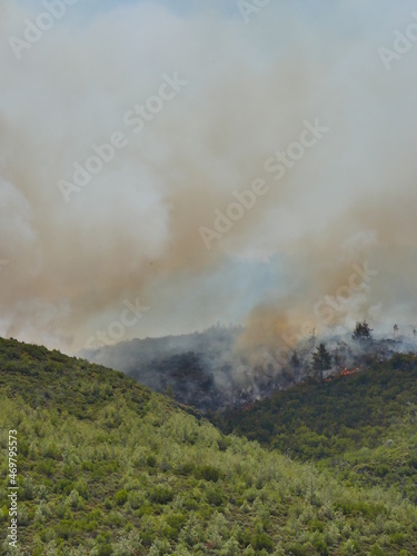 forest fire in turkey