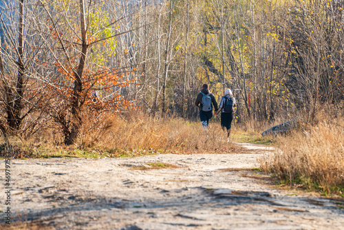 A young man and a girl in jackets with backpacks behind their backs walk holding hands along a path among trees with fallen leaves on a sunny autumn day