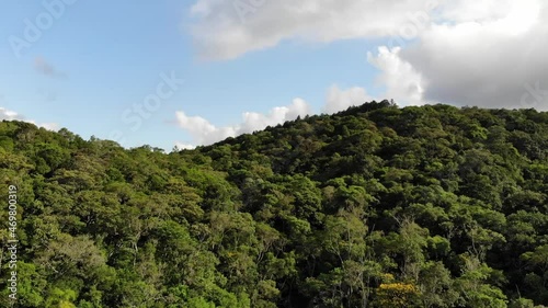 Floresta - Mata Atlântica photo