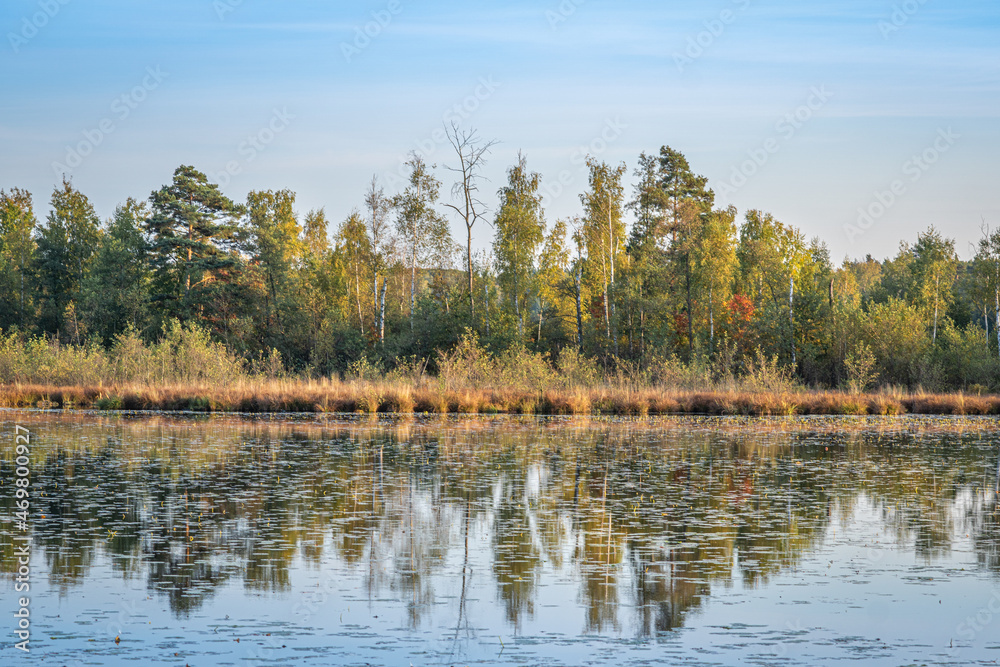 autumn landscape with lake