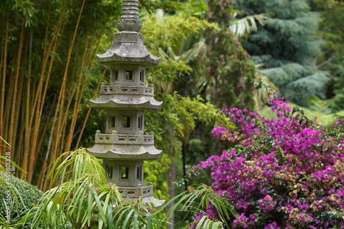 Japanese garden with different plants