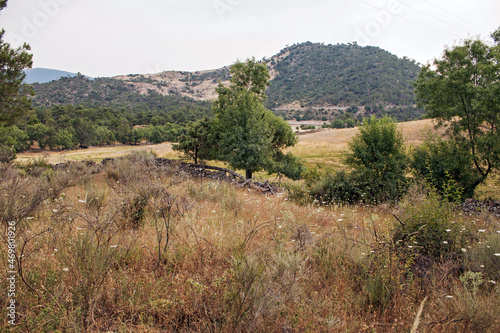 Countryside landscape in summer, Spain