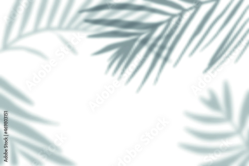 best shadow caused by light reflected on the leaf vectoral illustration