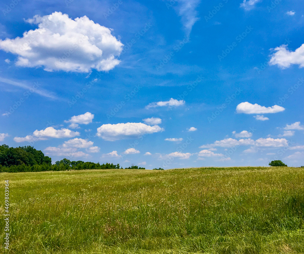 green field and blue sky