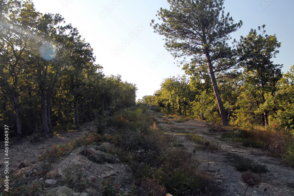 landscape in urban area