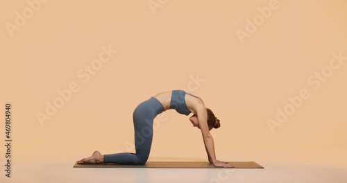 Yoga practice studio tutorial video. Yogi female instructor show exercises for healthy flexible spine, woman wellness