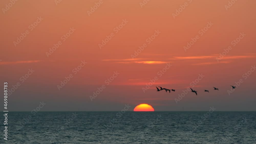 Gänse fliegen durch den Sonnenaufgang im Wattenmeer