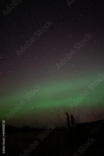 Northern lights/aurora borealis over prairie in Mantioba, Canada.