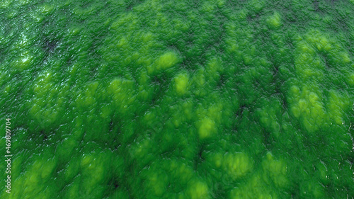 Abstract organic wet slime, biological matter background. Seething flesh slush like backdrop