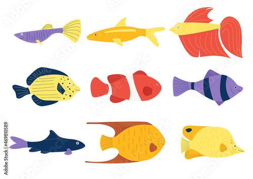 Vector set of aquarium tropical fish in flat cartoon style isolated on white background. Marine fish of different colors and shapes. Childrens illustration