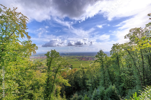 Panoramablick auf Edenkoben in der Pfalz