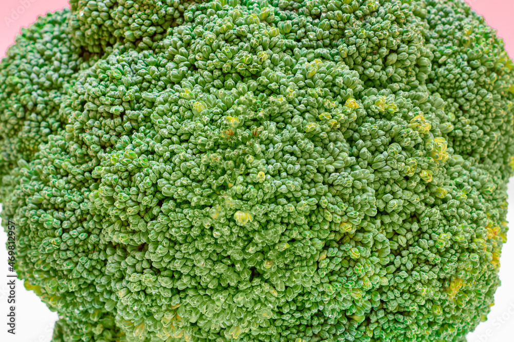 Macro Shot of Fresh and Raw Broccoli - Close-Up. Uncooked Green Cabbage. Vegan and Vegetarian Culture. Raw Food. Healthy Eating and Vegetable Diet