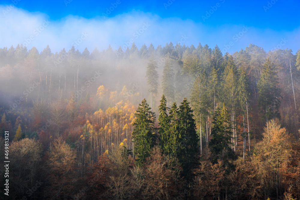 Pfälzer Wald im Nebel Pfälzer Wald im Nebel