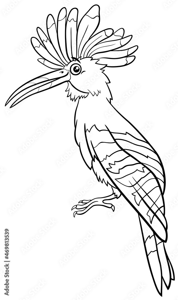 cartoon hoopoe bird animal character coloring book page Stock Vector