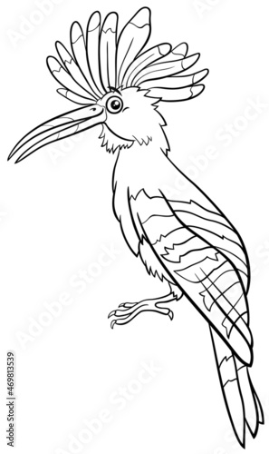 cartoon hoopoe bird animal character coloring book page