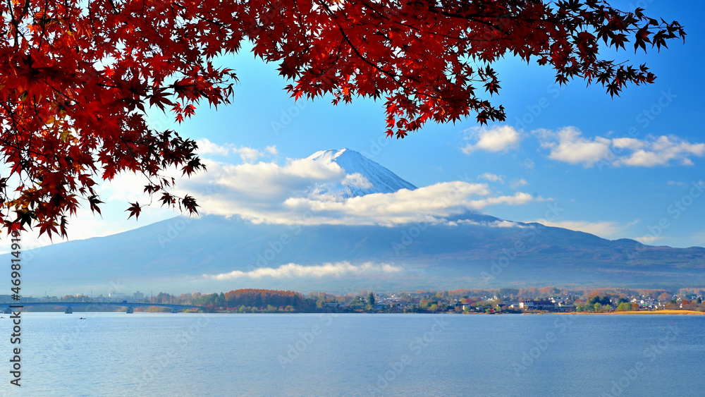 Mt.Fuji beyond red autumn leaves