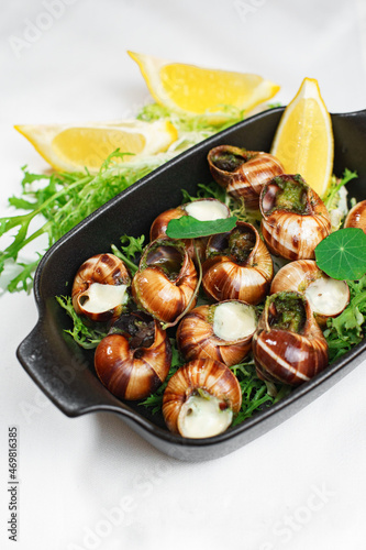 Burgknd snails, haute cuisine
