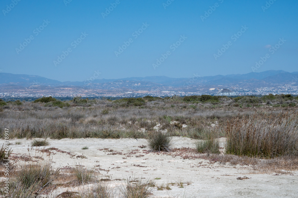 Walking to Limassol salt lake, sun dried grass and view on Limassol on horizon
