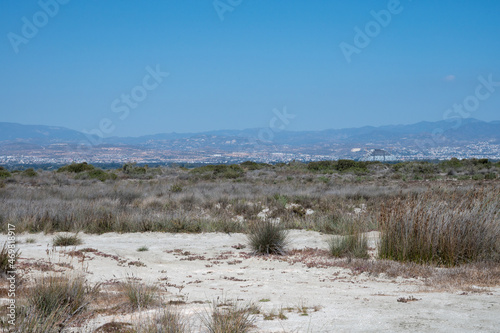 Walking to Limassol salt lake  sun dried grass and view on Limassol on horizon