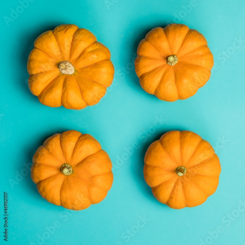 Mini orange pumpkins on teal backdrop
